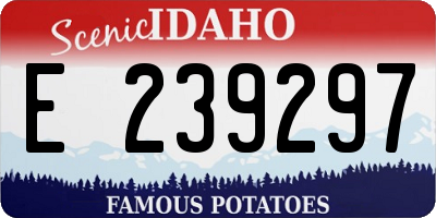 ID license plate E239297