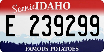 ID license plate E239299