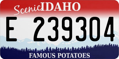 ID license plate E239304
