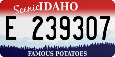 ID license plate E239307