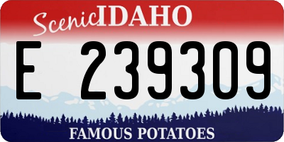 ID license plate E239309