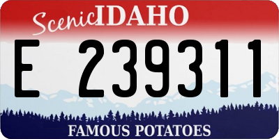 ID license plate E239311