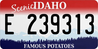 ID license plate E239313