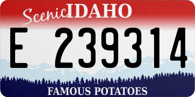 ID license plate E239314