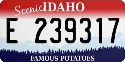 ID license plate E239317