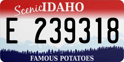 ID license plate E239318