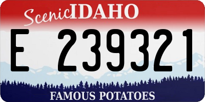 ID license plate E239321