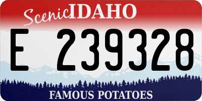 ID license plate E239328
