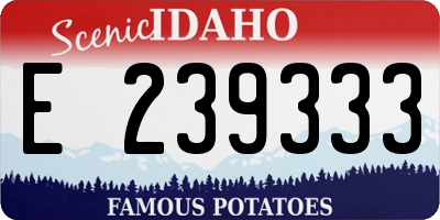 ID license plate E239333