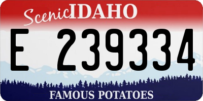 ID license plate E239334