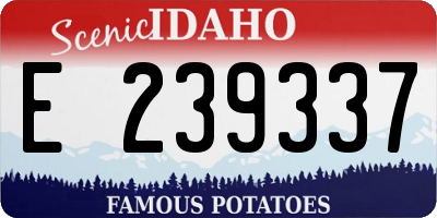 ID license plate E239337