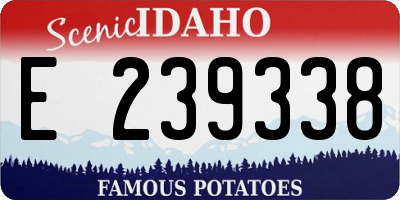 ID license plate E239338