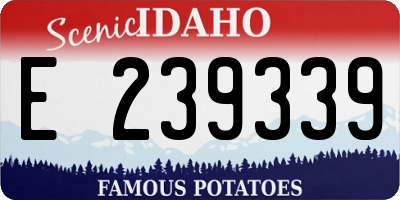 ID license plate E239339