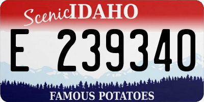 ID license plate E239340