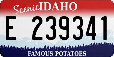 ID license plate E239341