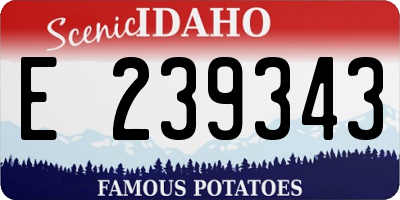 ID license plate E239343
