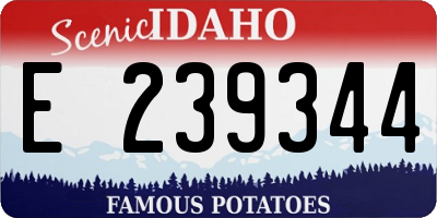 ID license plate E239344