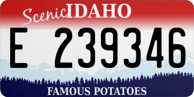 ID license plate E239346