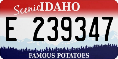 ID license plate E239347