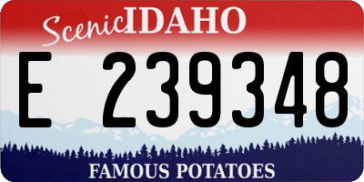 ID license plate E239348