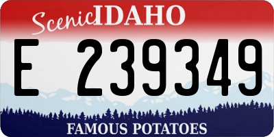 ID license plate E239349