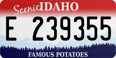 ID license plate E239355