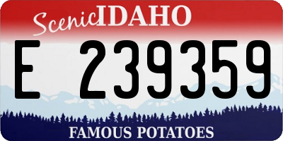 ID license plate E239359
