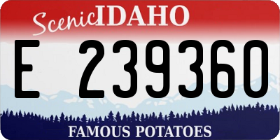 ID license plate E239360