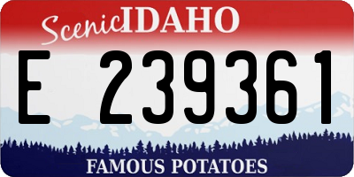 ID license plate E239361