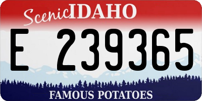 ID license plate E239365