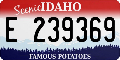 ID license plate E239369