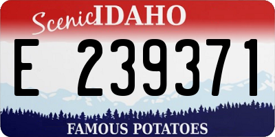 ID license plate E239371