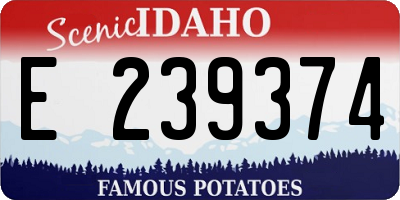 ID license plate E239374