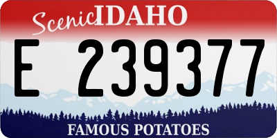 ID license plate E239377