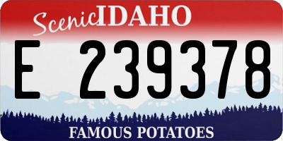 ID license plate E239378