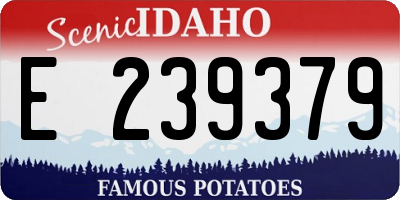 ID license plate E239379