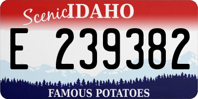 ID license plate E239382