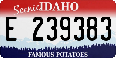 ID license plate E239383