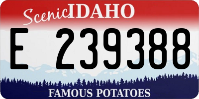 ID license plate E239388