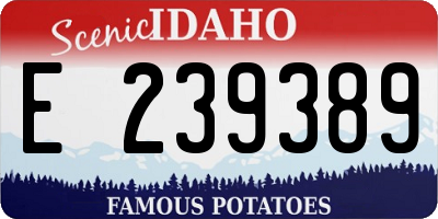 ID license plate E239389