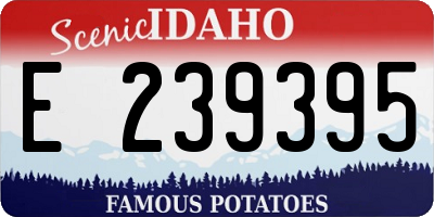 ID license plate E239395