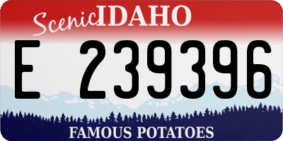 ID license plate E239396