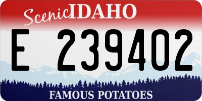 ID license plate E239402