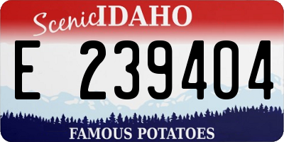 ID license plate E239404
