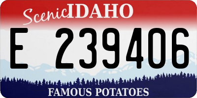 ID license plate E239406
