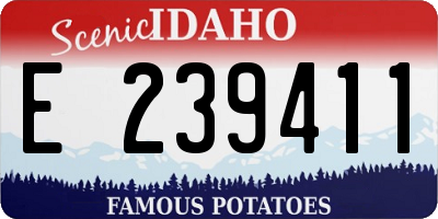 ID license plate E239411