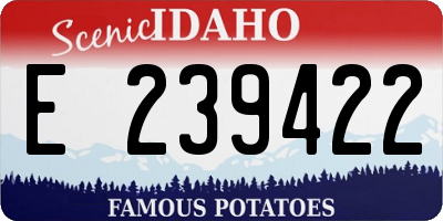 ID license plate E239422