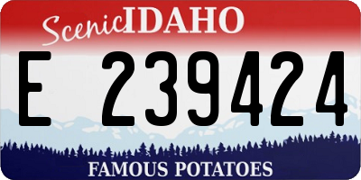 ID license plate E239424