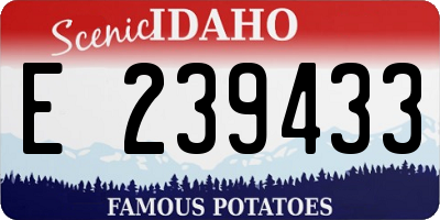 ID license plate E239433