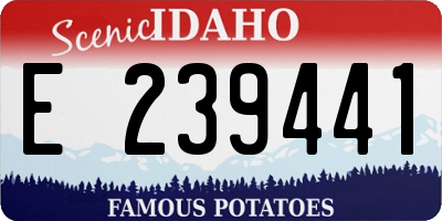 ID license plate E239441